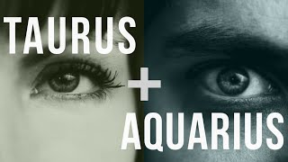 Taurus amp Aquarius Love Compatibility [upl. by Sirtaeb774]