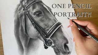 DRAWING A REALISTIC HORSE WITH ONE PENCIL [upl. by Marlie]