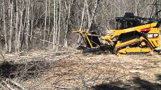 SS Extreme Disc Mulcher on CAT 299D XHP  Advanced Forest Equipment [upl. by Eph]