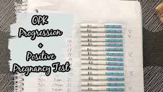 OPK Progression  Positive Pregnancy Test  Irregular Cycles [upl. by Ecienaj598]