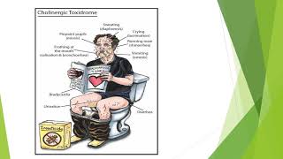 Organophosphate poisoning Symptoms Pathology Clinical features Ageing and Management [upl. by Del]