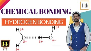 Chemical Bonding । Class 11 L 14 । Hydrogen bonding [upl. by Kamilah136]