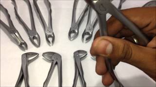 Tooth Extraction Forceps  Upper and Lower 12 Forceps Kit  GDC [upl. by Charles]