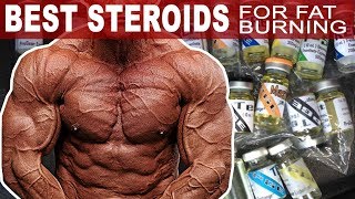 The Best Steroids For Burning Fat [upl. by Nollek817]