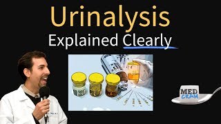 Urinalysis Interpretation Explained Clearly  Glucose amp Ketones in Urine [upl. by Aivilys]