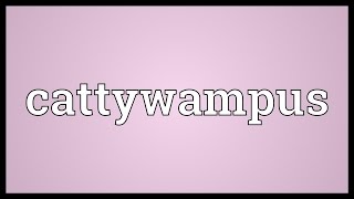 Cattywampus Meaning [upl. by Nnaid]