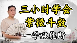 三小时学会紫微斗数，基础入门到精通教学 [upl. by Sasnak]