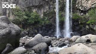 Sonido de Cascada  Agua Cayendo en el Bosque  Ruido Blanco 12 Horas ASMR para Dormir y Relajarse [upl. by Cr]