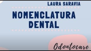 Nomenclatura dental introducción grupos dentarios nomenclaturas PALMER ADA FDI [upl. by Yatnod]