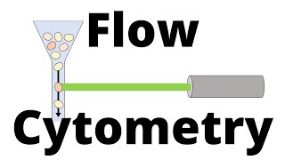 FLOW CYTOMETRY in 1 minute [upl. by Aineval]