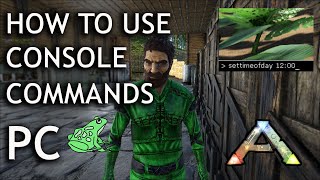 How to Use Console Commands on PC Single Player  Ark Survival Evolved  Cheats [upl. by Nnayllehs]