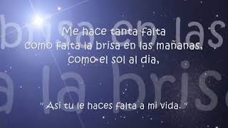 Cielo de Estrellas  El Trono De Mexico  Lyrics [upl. by Vlad579]