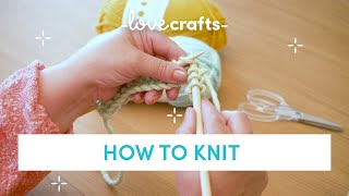 How to Knit  for absolute BEGINNERS [upl. by Octavius]