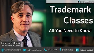 Trademark Classes  All You Need to Know  TradeMarkers® [upl. by Gemina]