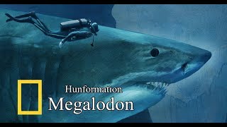 Hunformation  Megalodon HD [upl. by Ettenav257]