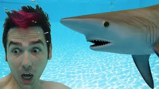 Shark In Swimming Pool Surprise [upl. by Heyra]