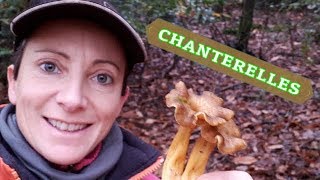 COMMENT PRÉPARER LES CHANTERELLES  🍄🍂 [upl. by Rillis814]