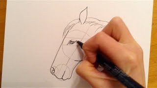 Beginners Lesson  How To Draw A Horse [upl. by Deva]