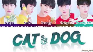 TXT  CAT amp DOG’ Lyrics Color CodedHanRomEng [upl. by Okihsoy]