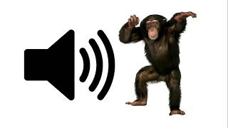 Monkey  Sound Effect [upl. by Arahs864]