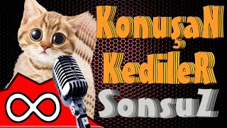 Konuşan Kediler Sonsuz  ∞   En Komik Kedi Videoları [upl. by Aisnetroh]