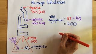 Microscope Calculations  p14 [upl. by Nyliak673]