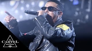 Daddy Yankee Live Performance [upl. by Enyrehtac]