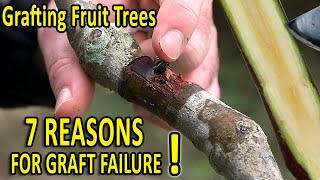 7 COMMON GRAFTING MISTAKES and HOW to AVOID THEM  Grafting Techniques TIPS [upl. by Nomsed255]