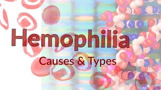 Hemophilia  Types amp Casues  Blood Clotting Factors amp Mechanism  Hemophilia amp Joints [upl. by Ygiaf]