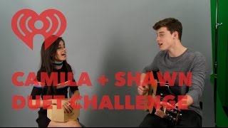 Shawn Mendes amp Camila Cabello Duet  Mashup Songs  Artist Challenge [upl. by Trebla]