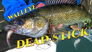 Dead Sticking Walleye Tricks [upl. by Llednahc]