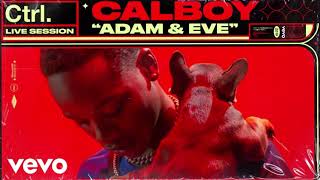 Calboy – Adam amp Eve Lyrics  slowed  reverb [upl. by Silera270]