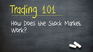 Trading 101 How Does the Stock Market Work [upl. by Rush]