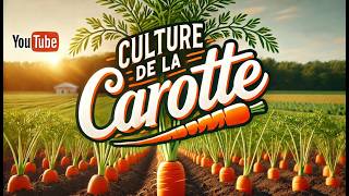 La carotte  culture semis plantation entretien récolte [upl. by Belford]