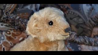 I Won An Old Antique Early Mohair SteiffLike Teddy Bear On Ebay [upl. by Ttereve]