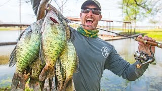 BIG CRAPPIE SPAWNING in Shallow Brush CATCH amp COOK [upl. by Aerdnas]