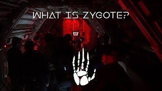 Oats Studios  What is Zygote [upl. by Enahc]