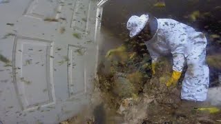 Exterminator Uses GoPro to Show What It’s Really Like Removing Hornets’ Nest [upl. by Akyeluz368]