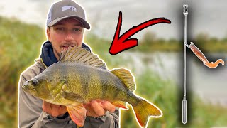 DROPSHOT Guide  Effective Rig in Perch Fishing [upl. by Ma]