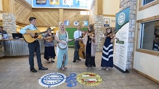 The Petersen Family Bluegrass Band [upl. by Otilrac]