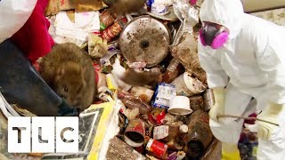 Rat Infested House Disgusts New Owners  Hoarding Buried Alive [upl. by Ykcub171]