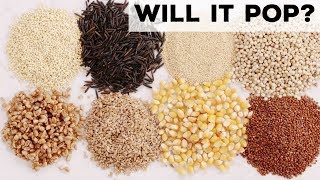 Will It Pop Grains Seeds and Cereals Are Put to the Test  Food Network [upl. by Jer415]