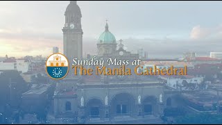 Sunday Mass at the Manila Cathedral  November 19 2023 1000am [upl. by Roanna]