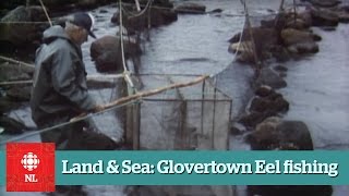 Land amp Sea  Eel Fishing near Glovertown  Full Episide [upl. by Ellebana]