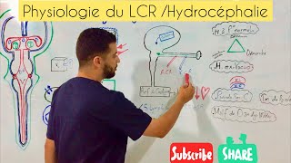 Physiologie du LCR Hydrocéphalie HIC [upl. by Giliana]