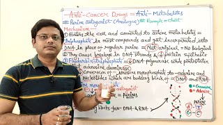 Anticancer Drugs Part08 Antimetabolites  Purine Analogue or Antagonist  Anti Cancer [upl. by Sudbury44]