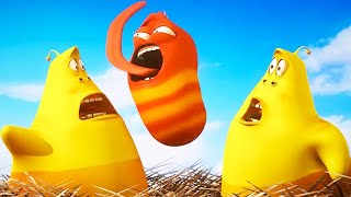 LARVA  DOUBLE TROUBLE  2019 Cartoon  Cartoons For Children  WildBrain Cartoons [upl. by Rekab]