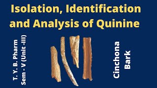 Isolation amp analysis of Quinine Cinchona Bark Pharmacognosy [upl. by Bullard]