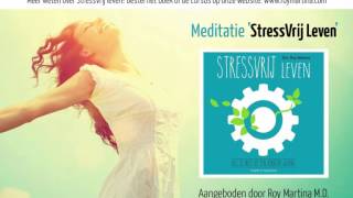 “Stressvrij leven” meditatie door Roy Martina [upl. by Amikehs]