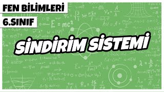 6 Sınıf Fen Bilimleri  Sindirim Sistemi  2022 [upl. by Legnalos702]